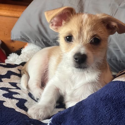 coastalvibes26's profile picture. 