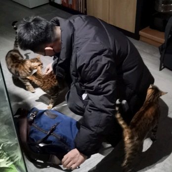 Ge_xiaofu's profile picture. 