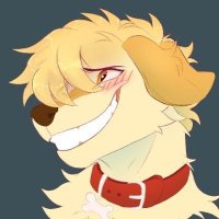 wafflewoofs.bsky.social (@wafflewoofs) 's Twitter Profile