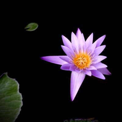 JohnOCallaghans's profile picture. 