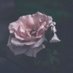 𝒯𝒶𝓌𝒶𝓃𝒶 (@_vluvlife) Twitter profile photo 𝒯𝒶𝓌𝒶𝓃𝒶 (@_vluvlife) Twitter profile photo