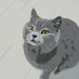 ちび灰灰😺 (@1v27233z5o3ioe) Twitter profile photo