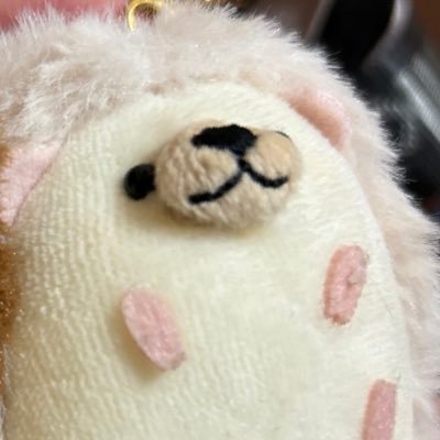 cheese_zys's profile picture.