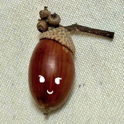 むつきさんのプロフィール画像