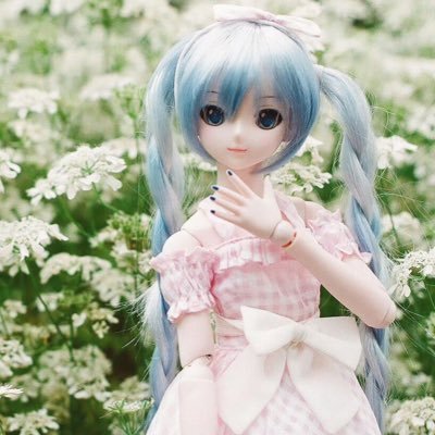 shiinaさんのプロフィール画像