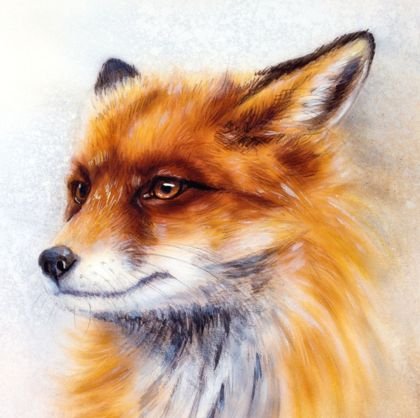 MartinFuchs04's profile picture. Martin ₡ore