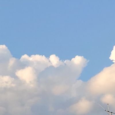 招さんのプロフィール画像