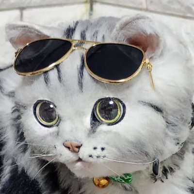 猫人形屋敷さんのプロフィール画像