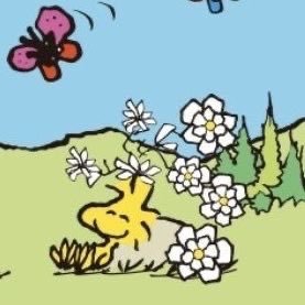 reenmydreams's profile picture. are you listening? yes ma'am, i'm listening to... waltz of four left feet by shirebound and busking. | #FreePalestine 🍉