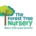 The Forest Tree Nursery π³πβοΈ (@tft_nursery) Twitter profile photo The Forest Tree Nursery π³πβοΈ (@tft_nursery) Twitter profile photo
