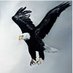 empi1 (@qeempi1) Twitter profile photo empi1 (@qeempi1) Twitter profile photo