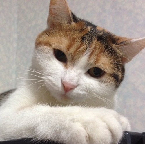 Harumarx's profile picture. Make it count