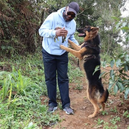 Mwanontii's profile picture. Work like a donkey but never think like one! 👍