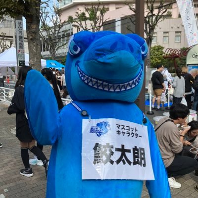 hakubisin001's profile picture. 人罪開発グループ。湾岸在住。大学の頃の杵柄で安全保障に関心。観戦が専門のラグビーファン。広義の旧一電に所属。
