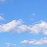 せらぎ (@seragi_5) 's Twitter Profile Photo