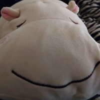 わか(作詞家/詩人) (@1975_kaz) 's Twitter Profile Photo わか(作詞家/詩人) (@1975_kaz) 's Twitter Profile Photo