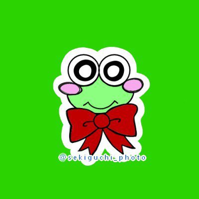 🌱ノノ·フローレス·関口(6.0)さんのプロフィール画像