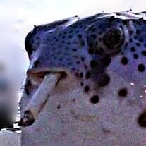 cerebronlata's profile picture. 👋 🐡