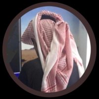 ᘓɹ̣ɹ̈ᘓ (@sql0) 's Twitter Profile