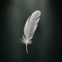 Saeed (@_jsaeed) 's Twitter Profile Photo Saeed (@_jsaeed) 's Twitter Profile Photo