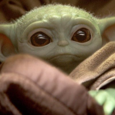 Evanescenc3's profile picture. I aspire to live by the principles that I believe in.