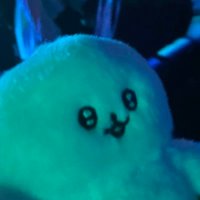 きゃりむ🧊🏰 (@kyarrrmu) Twitter profile photo