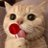 MillerSenpai2's profile image