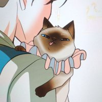 กาสีชา (@chanhelpper) 's Twitter Profile Photo กาสีชา (@chanhelpper) 's Twitter Profile Photo