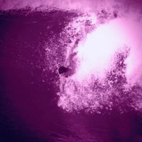 Porkrider (@dacryptoheads) 's Twitter Profile