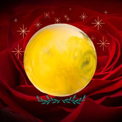 桐生宝たま✤タロット士／オンラインカウンセラー✤いいんだよオラクルカード＆パステルアート✨さんのプロフィール画像