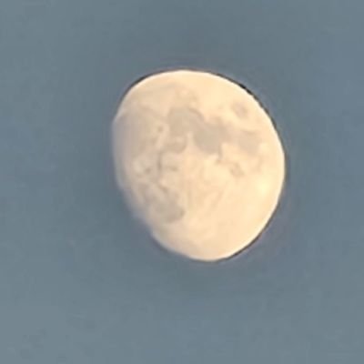 ねるるさんのプロフィール画像