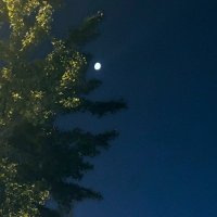 MaxAcand (@maxacand) 's Twitter Profile
