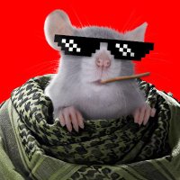 Anon Ymouse (@imtheanonymouse) 's Twitter Profile Photo Anon Ymouse (@imtheanonymouse) 's Twitter Profile Photo