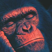 Raw (@raw_momo) 's Twitter Profile