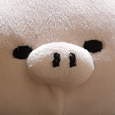 和好羽(ゎぅ)🐗さんのプロフィール画像