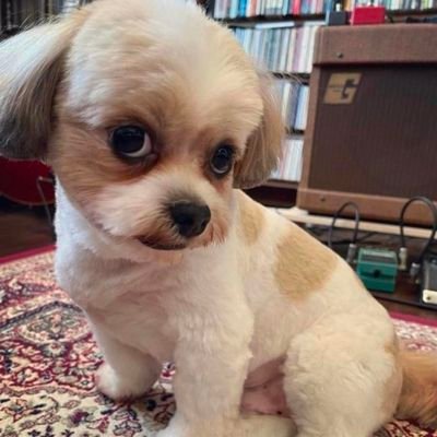 krushnalif12's profile picture. 