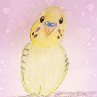 しもはた ツイートに不具合発生中です💦返信遅れが発生する事があります😣 (@opi2ipcmjotckco) 's Twitter Profile Photo しもはた ツイートに不具合発生中です💦返信遅れが発生する事があります😣 (@opi2ipcmjotckco) 's Twitter Profile Photo