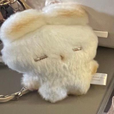 色んなアイドルを応援しています