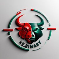 Ke_Binary (@ke_binary) 's Twitter Profile