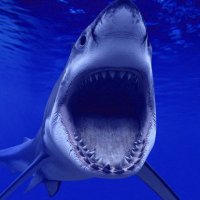 phouqe17 (@peerlescumber) 's Twitter Profile