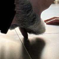 FootSlaveSP (@slave_sp) 's Twitter Profile Photo FootSlaveSP (@slave_sp) 's Twitter Profile Photo