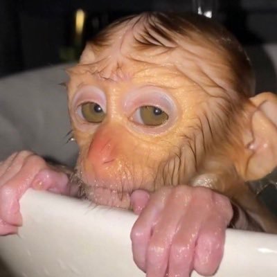 jacksvillatoro's profile picture. no contacting unless you sexc fr!