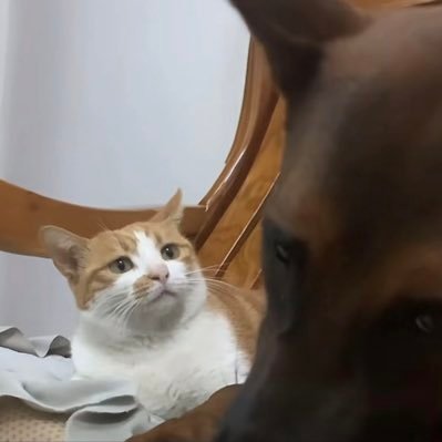 0xDDE4's profile picture. 带我