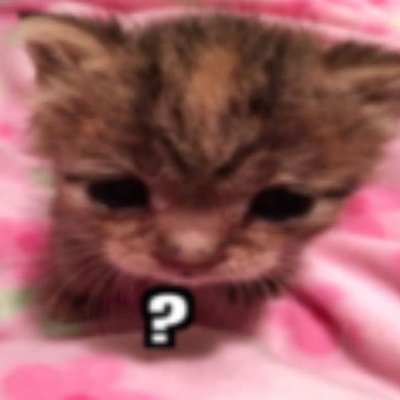 miyacantbehere's profile picture. miya, sometimes art
🇮🇳 
Follow @Duwikoo_ (my sweetheart) 
@Hamir_00 my alt 

https://t.co/EKlespSKjx