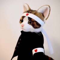 hiro (@pdesu5) 's Twitter Profile