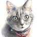 Global Love for My Cat (@yoshitaka37564) Twitter profile photo Global Love for My Cat (@yoshitaka37564) Twitter profile photo