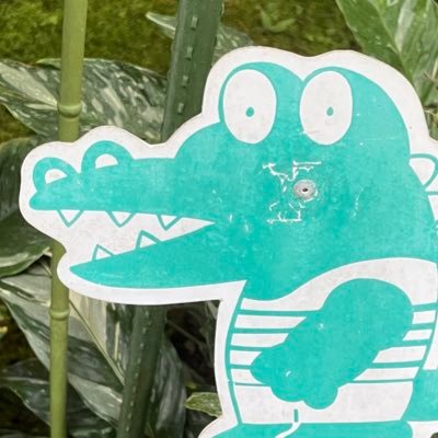 再会してくれてありがとう🫵❤️ あつこに狂わされる人生、幸かな