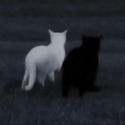 まっちゃ🫨ポケポケハマり中さんのプロフィール画像