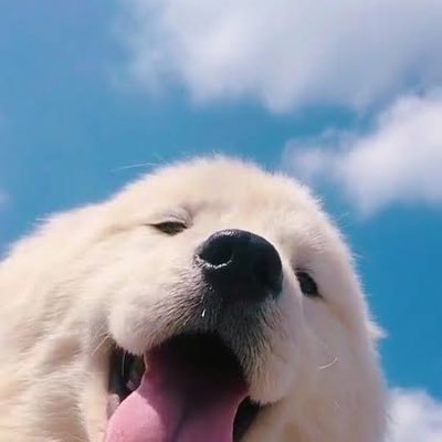 doraemonnnxx's profile picture. 