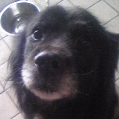 やまだしさんのプロフィール画像